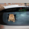 Persian Cat Crack Sticker Emoji Be Cute Custom Window Decals