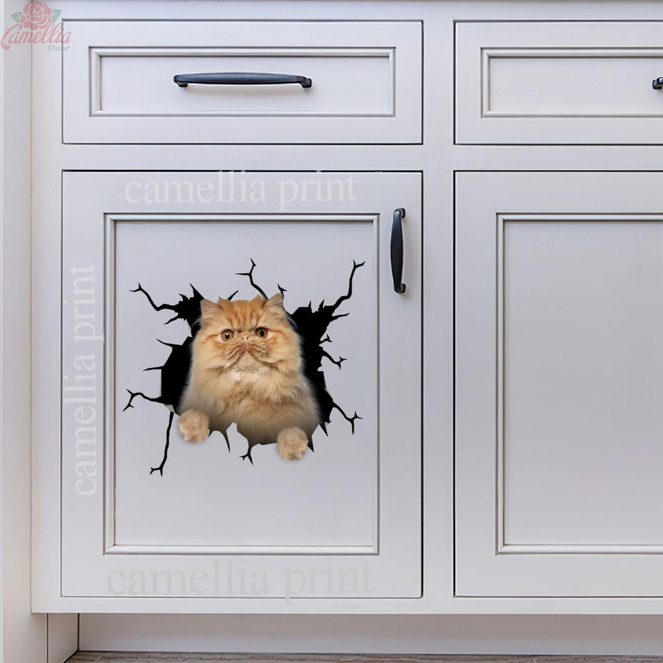 Persian Cat Crack Sticker Emoji Be Cute Custom Window Decals