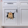 Persian Cat Crack Sticker Emoji Be Cute Custom Window Decals