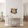 Persian Cat Crack Sticker Emoji Be Cute Custom Window Decals