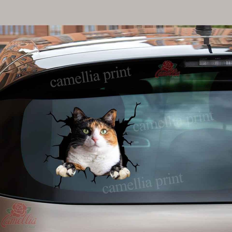 Calico cat crack dad die-cut waterproof vinyl sticker for cat lovers