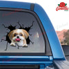 Shih Tzu Crack Bone Sticker The Cutest Art Stickers 60th Birthday Ideas