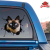 Siamese cat crack funny cat sticker, waterproof die-cut vinyl decal for water bottles, laptops, and windows