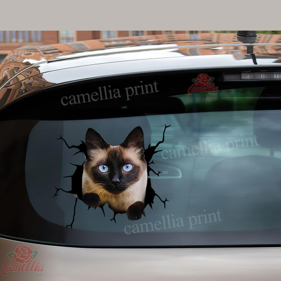 Siamese cat crack funny cat sticker, waterproof die-cut vinyl decal for water bottles, laptops, and windows