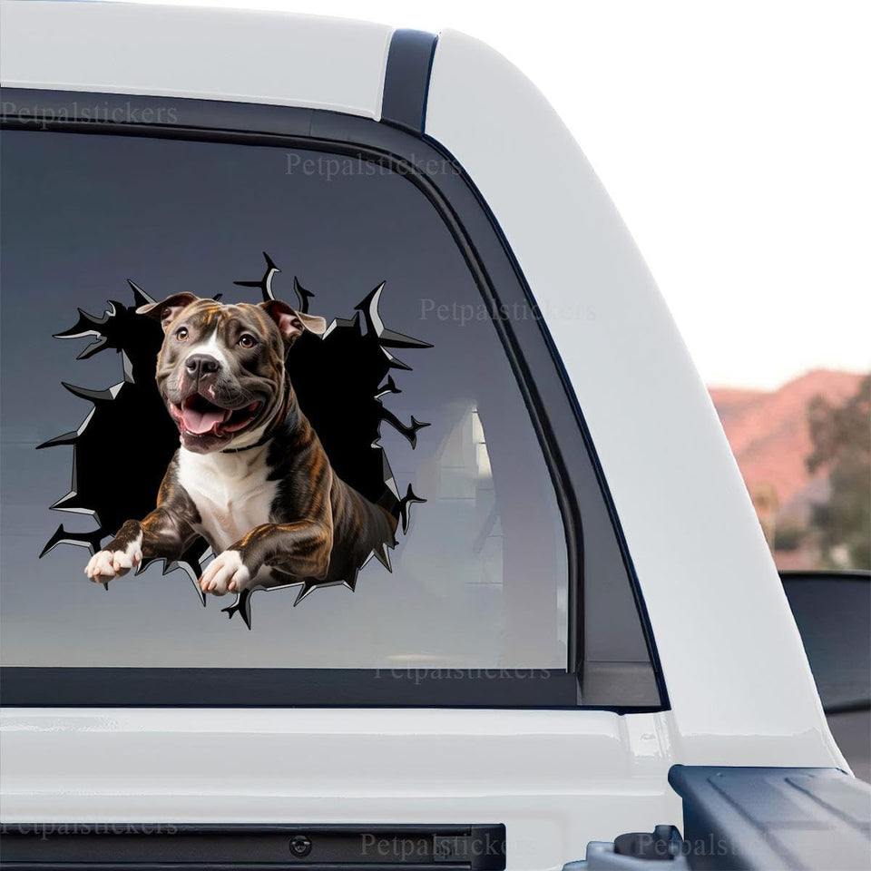 American Staffordshire Terrier graphic decal artwork in a standalone product design format.