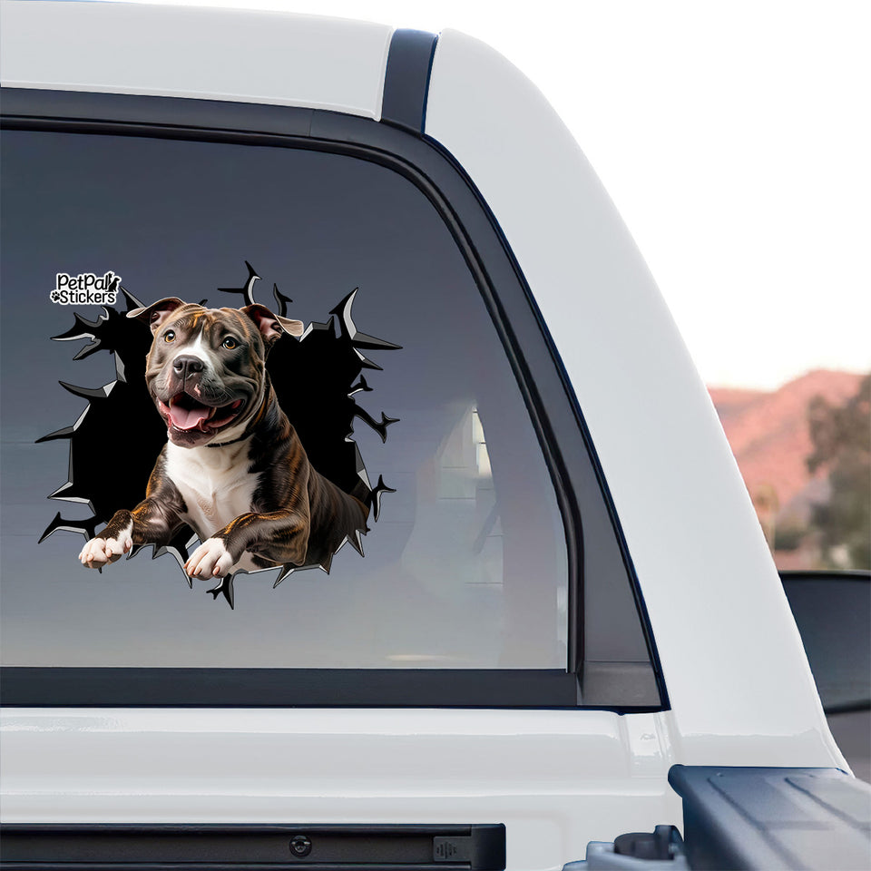 Outdoor view of the AmStaff dog window graphic applied to the rear glass of a truck.