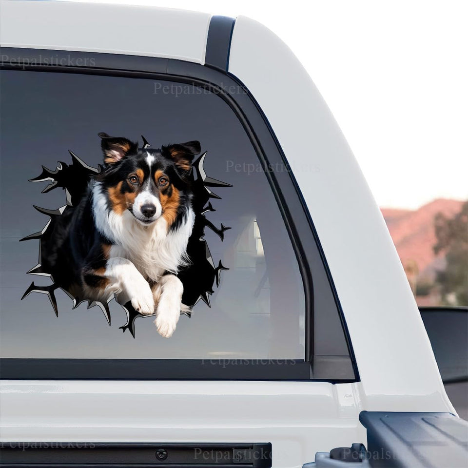 Vibrant Australian Shepard cracked glass graphic decal in a standalone product design.