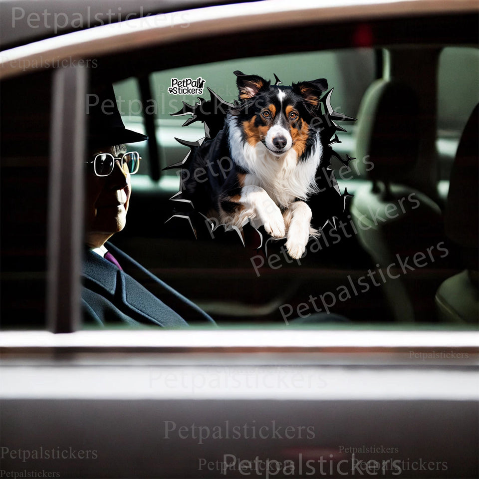 Humorous dog jumping graphic applied seamlessly to the exterior car door surface.