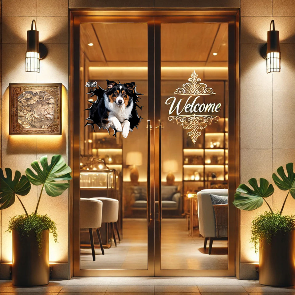 Eye-catching cracked glass Australian Shepard design adhered to a glass door.