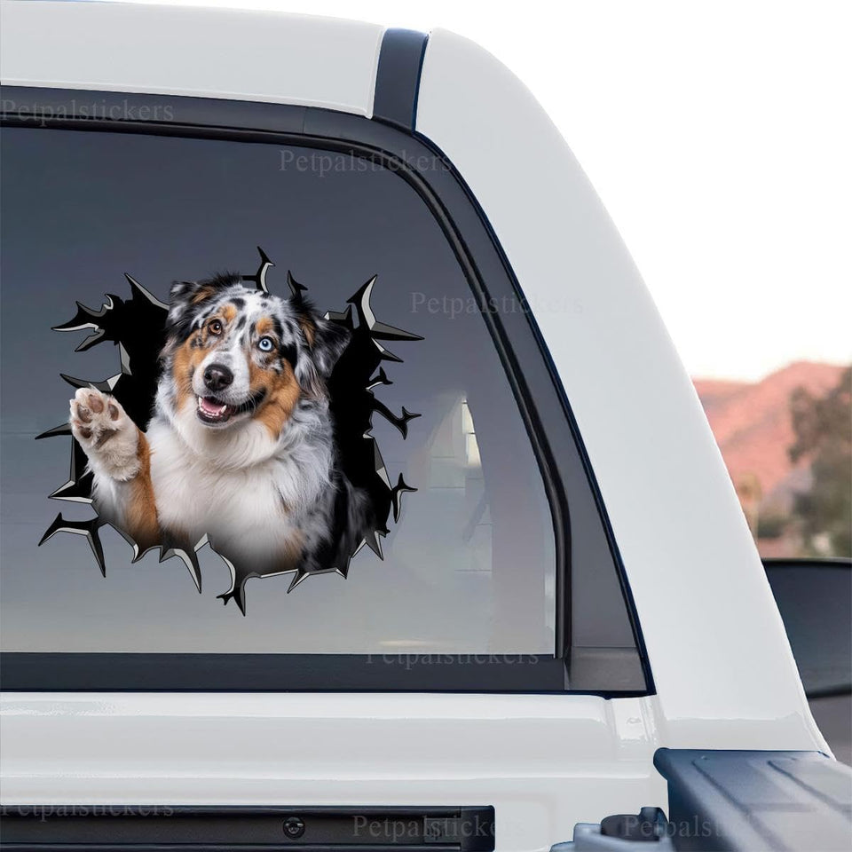 Vibrant Australian Shepherd standalone product design graphic on clear vinyl film.