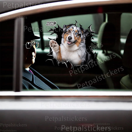 Funny Australian Shepherd sticker placed humorously on a smooth toilet lid.