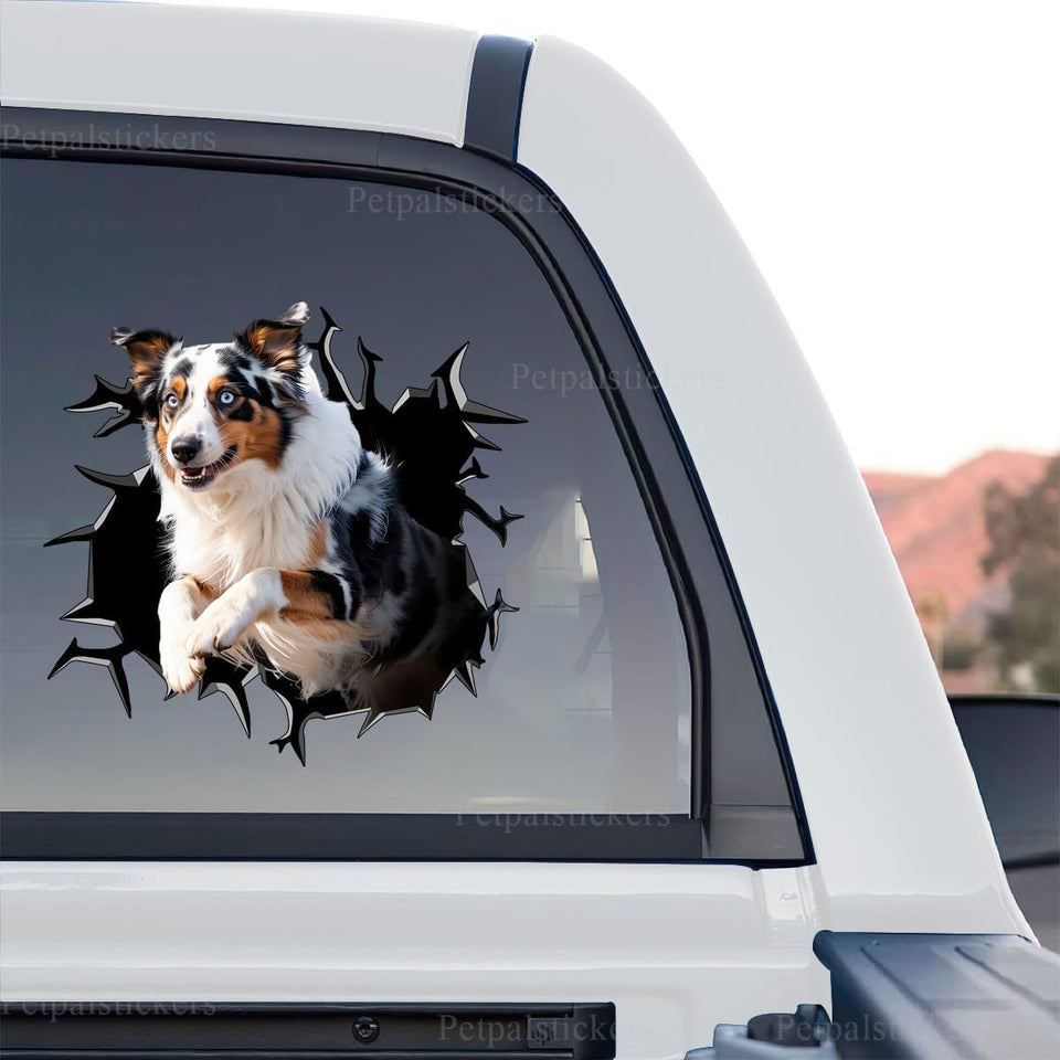 Vibrant Australian Shepherd standalone product design showing a dog bursting through cracked glass.