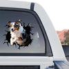 Vibrant Australian Shepherd standalone product design showing a dog bursting through cracked glass.