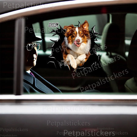 Humorous Australian Shepherd vinyl sticker applied to the smooth lid surface of a toilet.