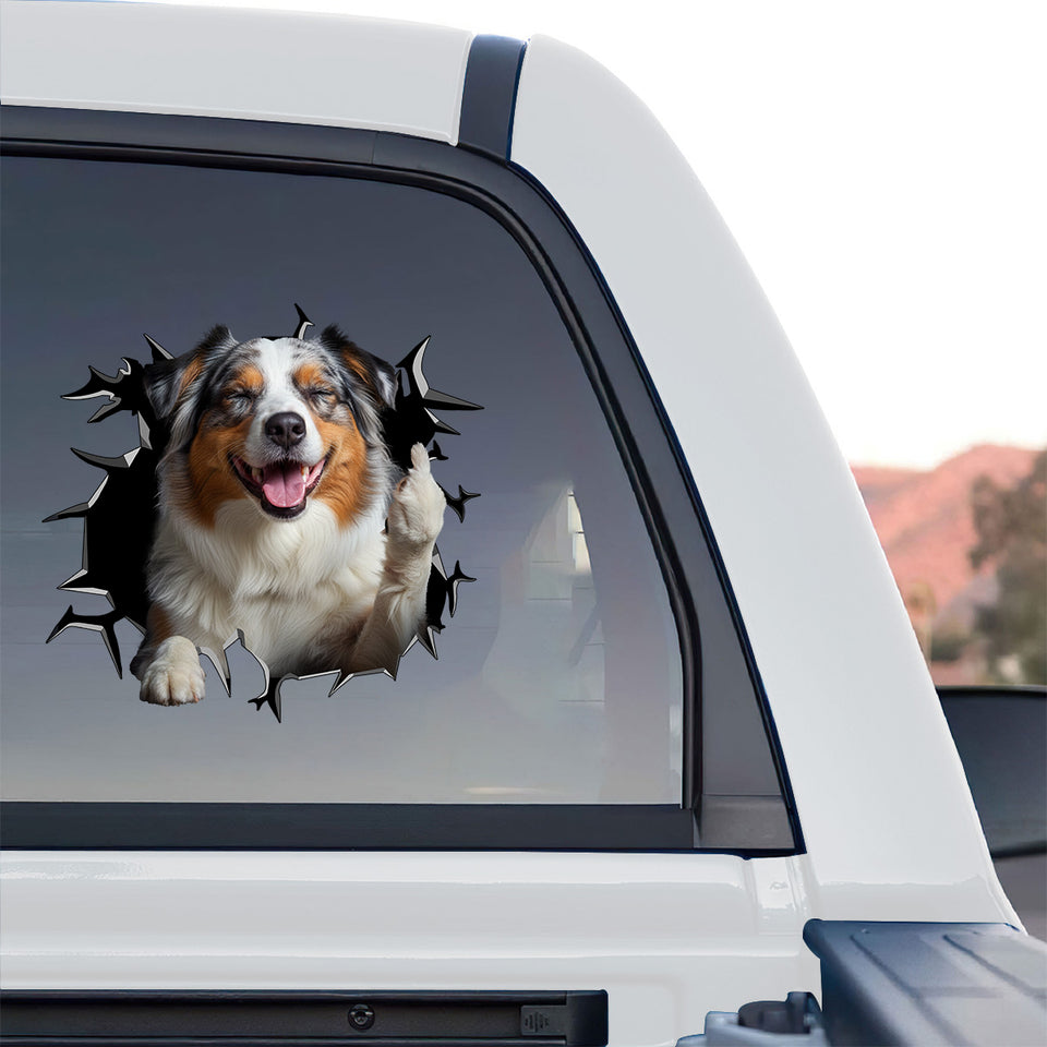 Eye-catching Australian Shepherd vinyl decal displayed on the rear window of a truck.