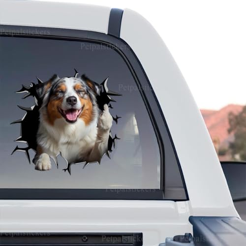 Vibrant Australian Shepherd standalone product design graphic decal with cracked glass effect on clear vinyl.