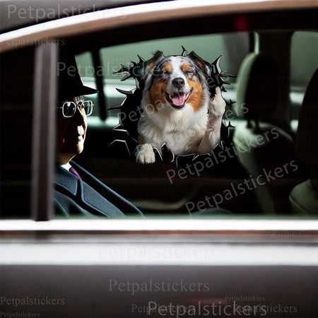 Humorous Australian Shepherd graphic sticker adhered to a smooth white toilet lid.