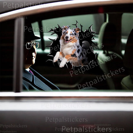 Humorous Australian Shepherd dog decal applied smoothly to the smooth lid of a modern toilet.