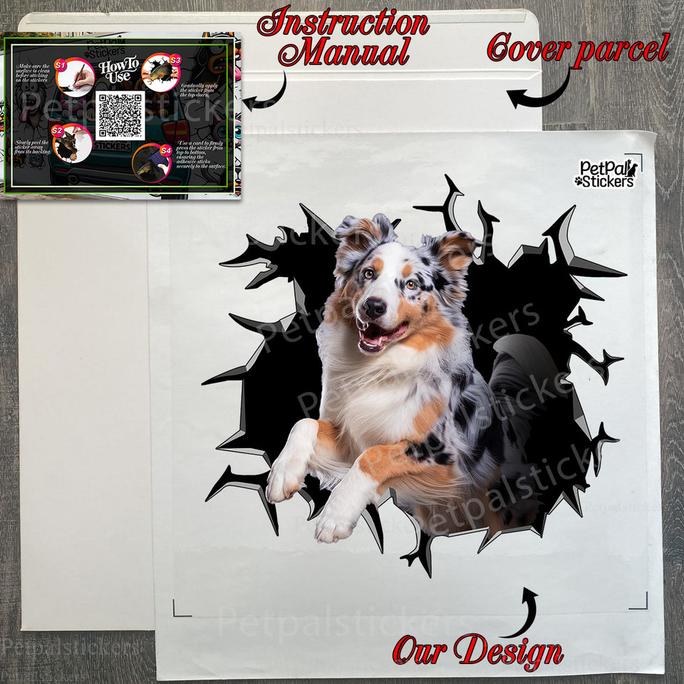Unboxing the Australian Shepherd car sticker showing the complete decal sheet inside the package.