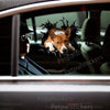 Basenji dog graphic decal applied smoothly onto an exterior car door.