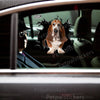 Detailed Basset Hound graphic decal applied smoothly to a white car door.