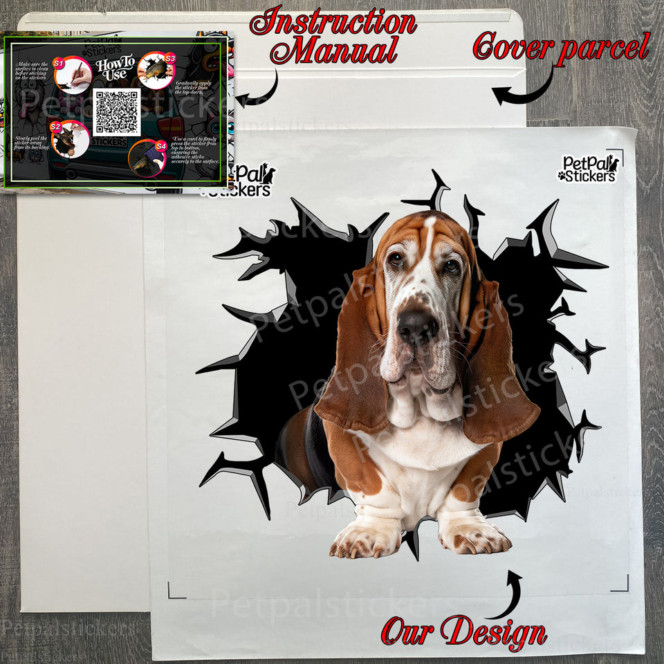 Unboxed Basset Hound decal kit with protective backing in its retail package.