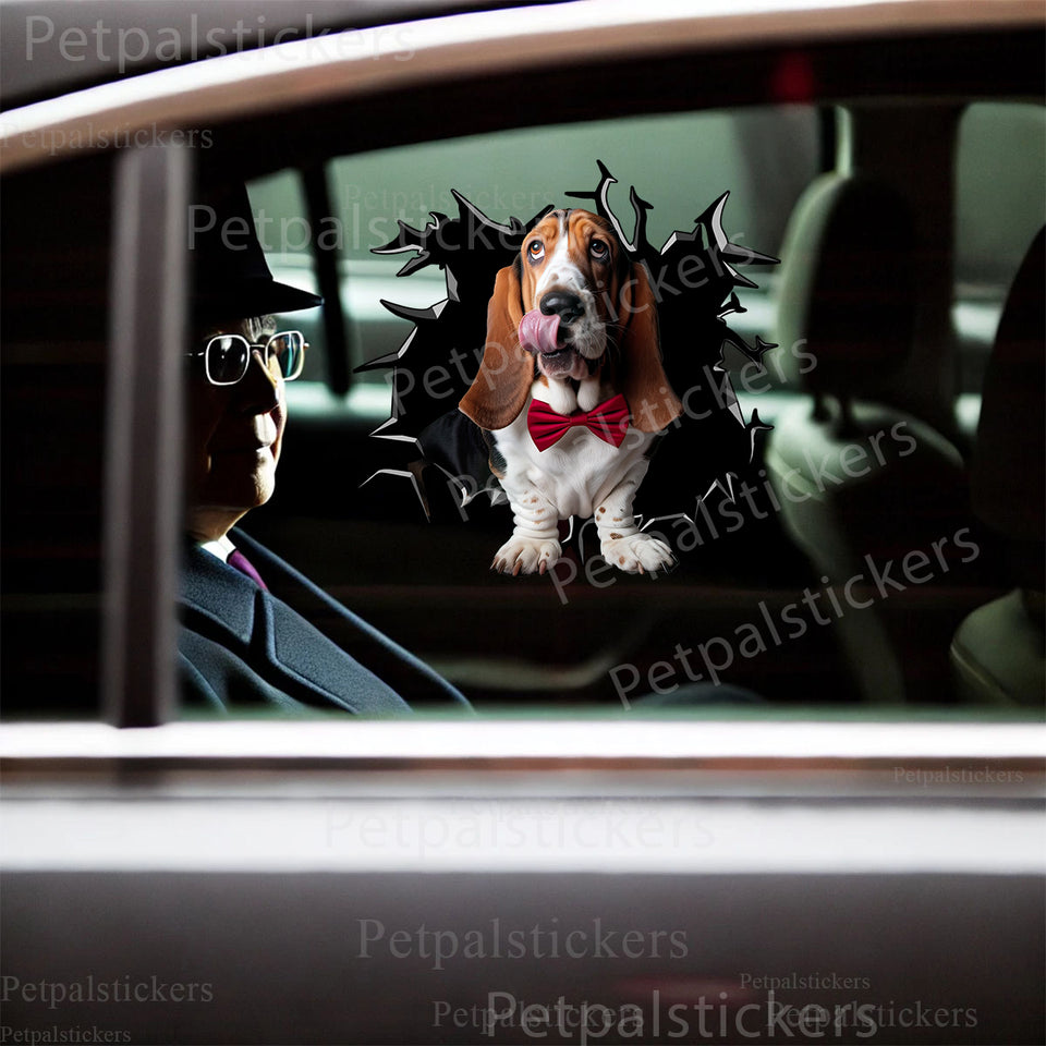 Basset Hound graphic decal applied cleanly onto a vehicle car door.
