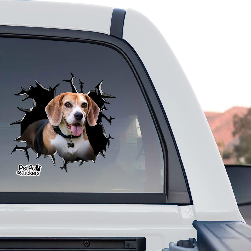 Eye-catching Beagle window decal displayed prominently on the rear glass of a truck.