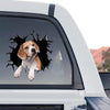 Detailed Beagle graphic artwork shown as a standalone product design on transparent film.