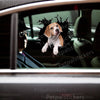 Vibrant Beagle decal smoothly adhered to the exterior car door of a white commuter vehicle.