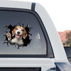 Funny Beagle vinyl sticker applied smoothly to the rear glass of a truck.