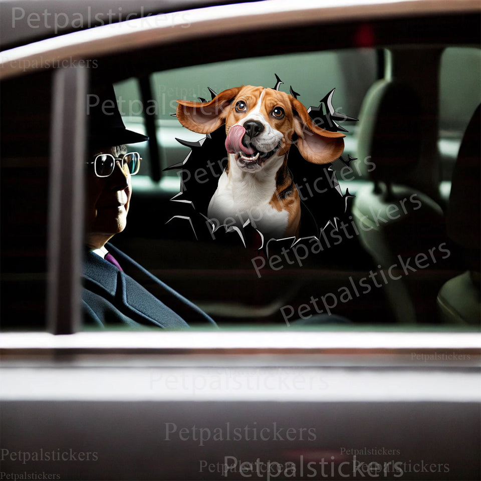 Funny Beagle graphic sticker smoothly applied to a white car door surface.