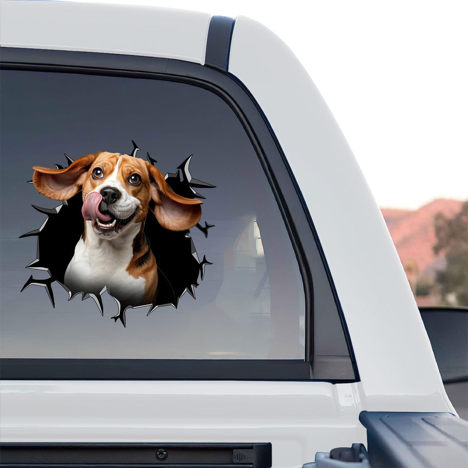 Peeking Beagle window decal placed on the rear glass of a truck.