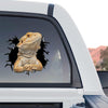 Realistic reptile art sticker styled on the side rear window of a truck.