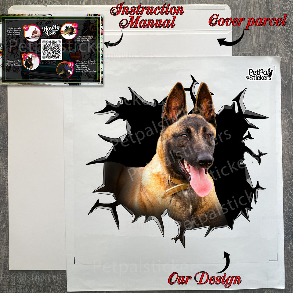 Secure product package containing the Belgian Malinois decal with instructions.