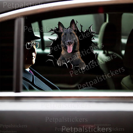 Playful Belgian Malinois vinyl sticker placed firmly on the smooth lid of a white toilet.