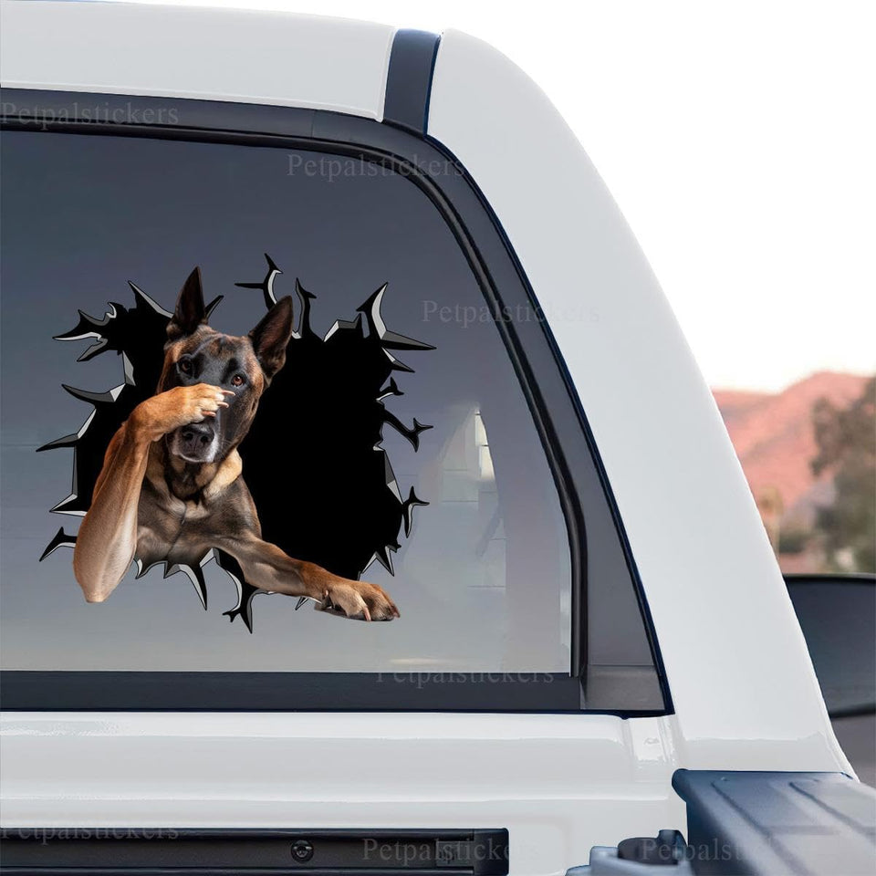 Belgian Malinois graphic decal standalone product design on transparent vinyl background.