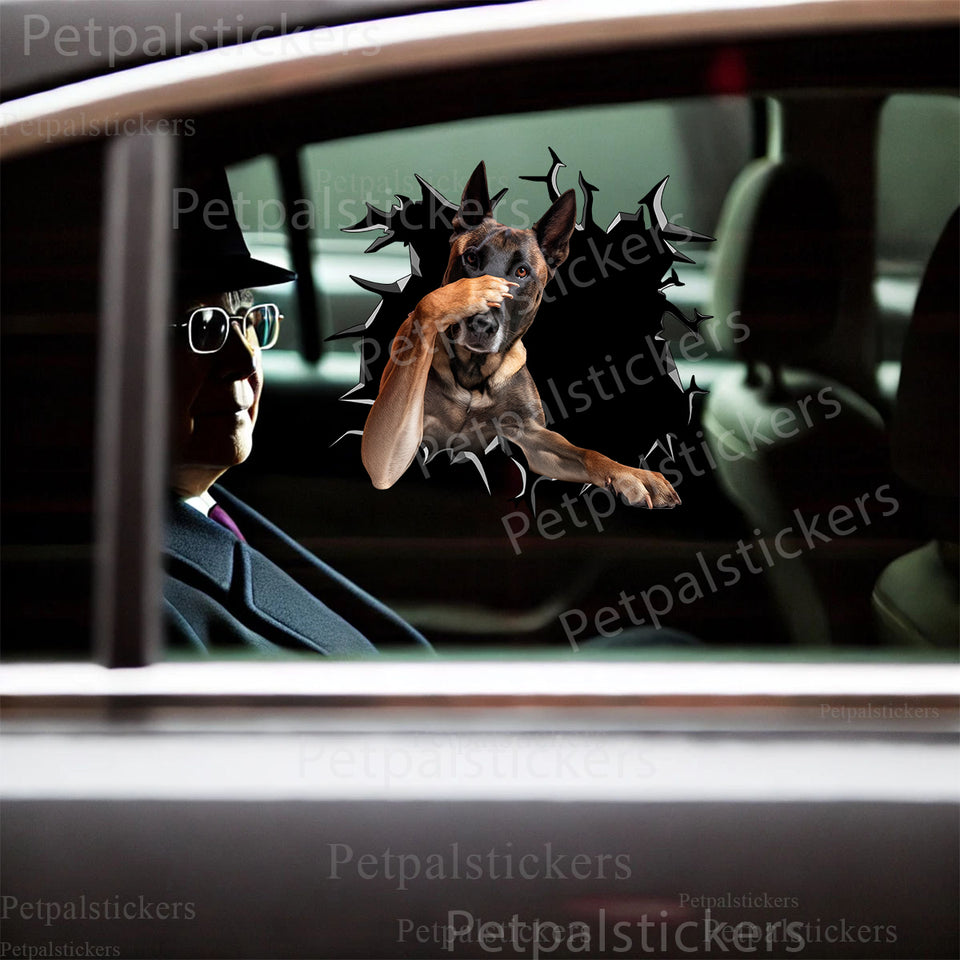 Vibrant Belgian Malinois dog sticker displayed on a clean white car door exterior.
