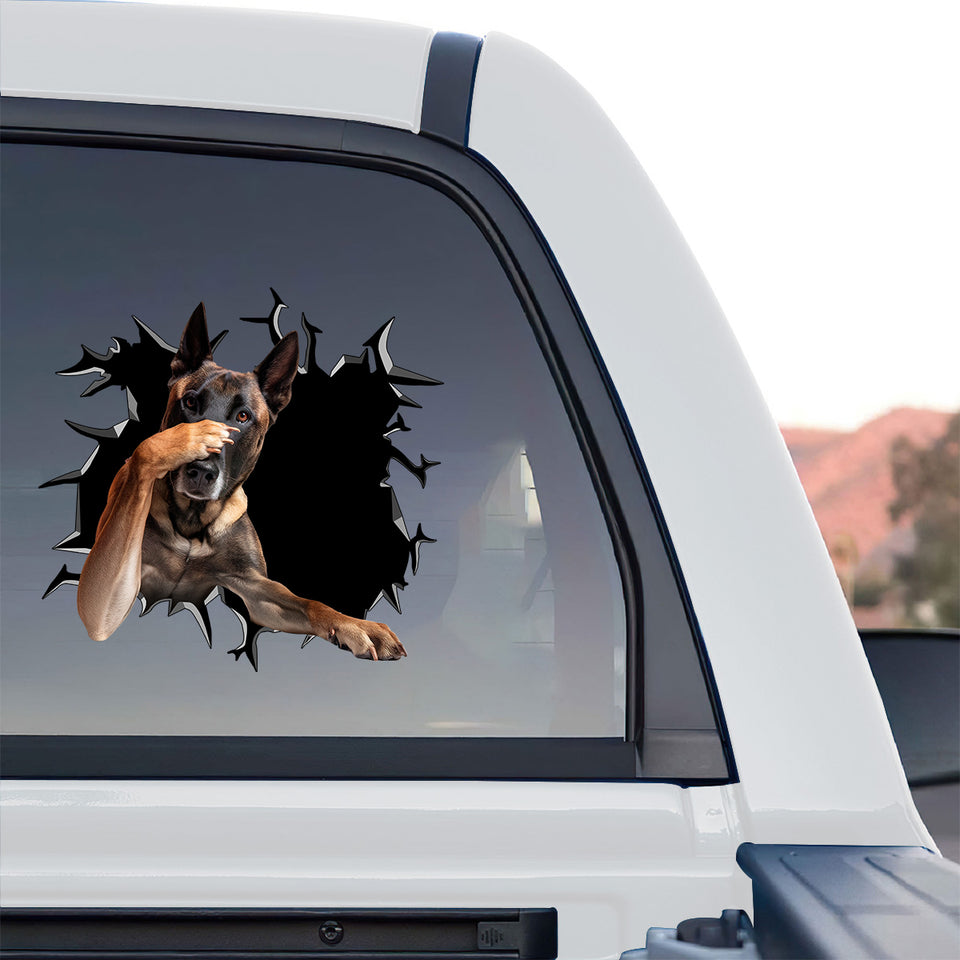 Clear vinyl Belgian Malinois window decal applied to the rear glass of a truck.