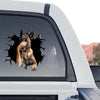 Vibrant Belgian Malinois face graphic installed on the rear window of a truck.