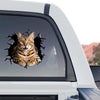 Playful Bengal cat window graphic styled on the rear windshield of a truck.