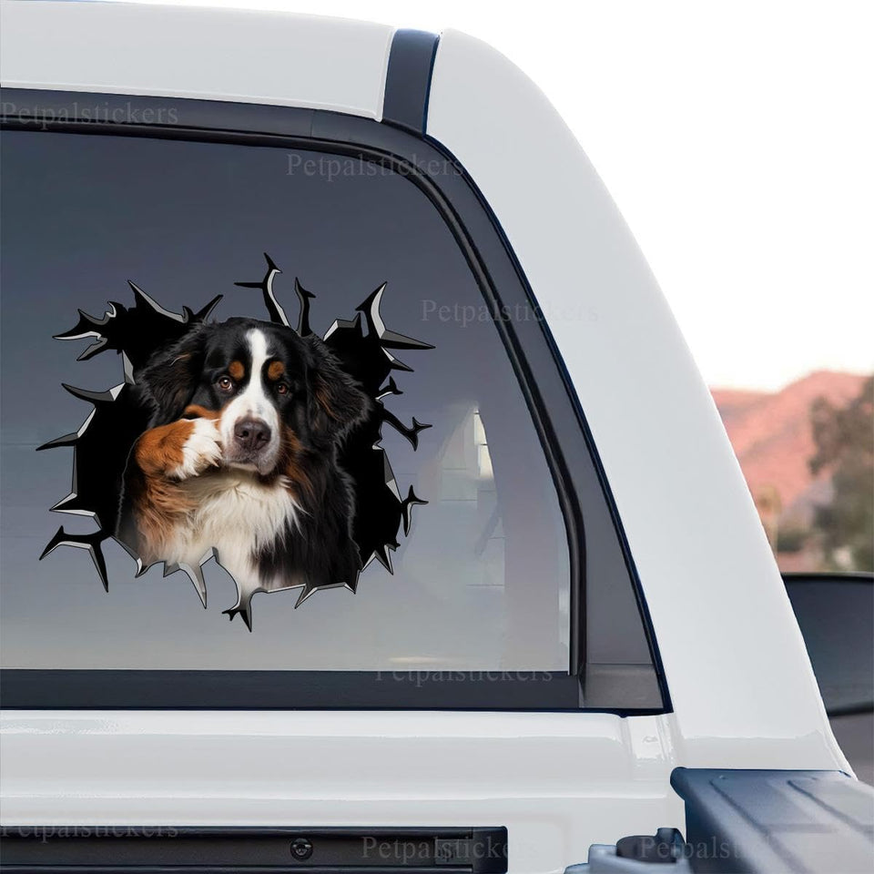 Bernese Mountain Dog standalone product design featuring realistic cute artwork on clear film.
