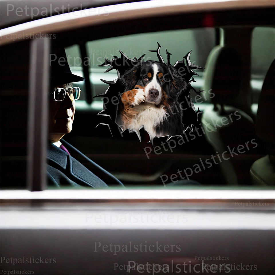 Vibrant pet sticker displayed on a clean car door surface showing crisp details and gloss finish.