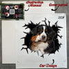 Securely boxed decal package with complete step-by-step application instructions included.