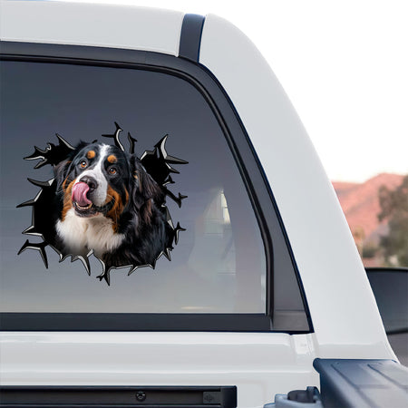 Humorous Bernese Mountain Dog vinyl sticker applied to the clean lid of a ceramic toilet.
