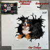 Protective package displaying the ready-to-apply Bernese Mountain Dog sticker.