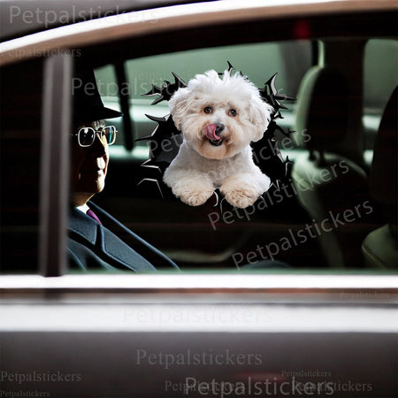 Humorous Bichon Frise dog decal applied onto a smooth bathroom toilet lid surface.