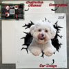 Secure delivery package protecting the Bichon Frise decal along with printed application instructions.