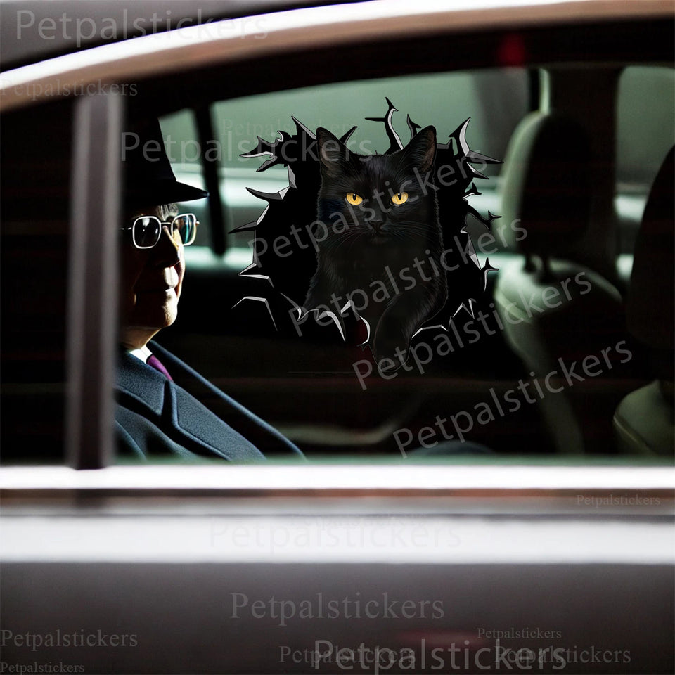 Glossy Black Cat decal smoothly applied to a white car door surface.