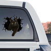 Eye-catching black cat window sticker applied to the rear glass of a truck.